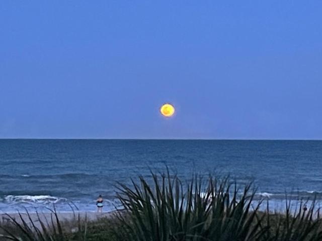 The Marlin - Cocoa Beach Διαμέρισμα Εξωτερικό φωτογραφία